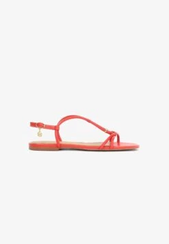 Kazar GERI. - Riemensandalette - Red -Kazar Schuhe Geschaft bb8b655c20964ad8a45077189eb083df